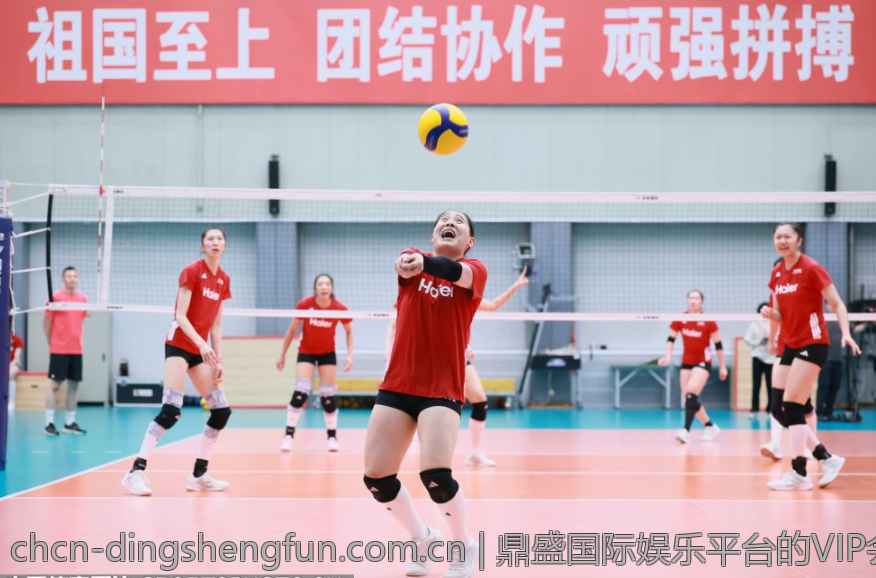 鼎盛国际娱乐平台的VIP会员权益