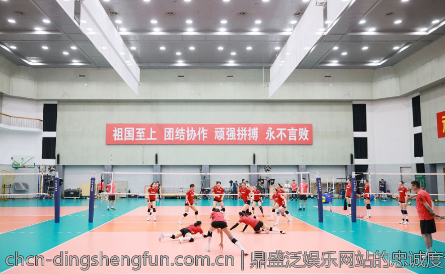 鼎盛泛娱乐网站的忠诚度计划解析