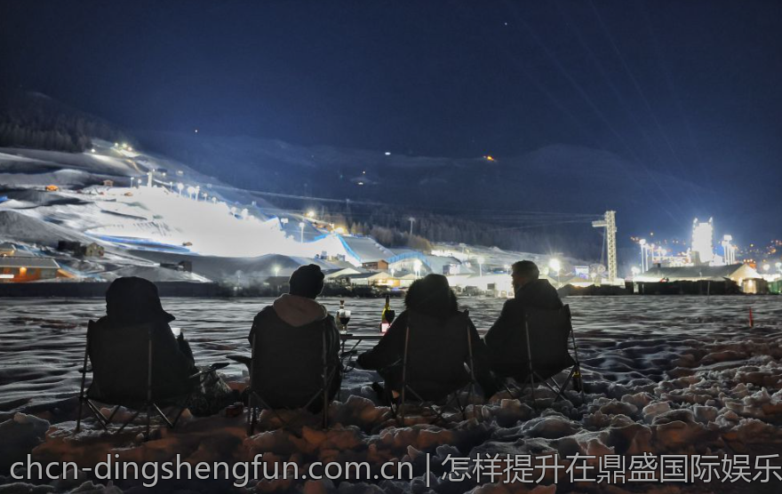 理解鼎盛游戏娱乐的市场需求