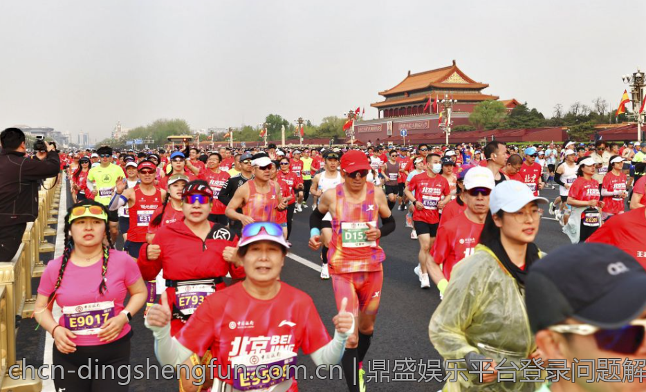 鼎盛娱乐平台登录问题解决全攻略
