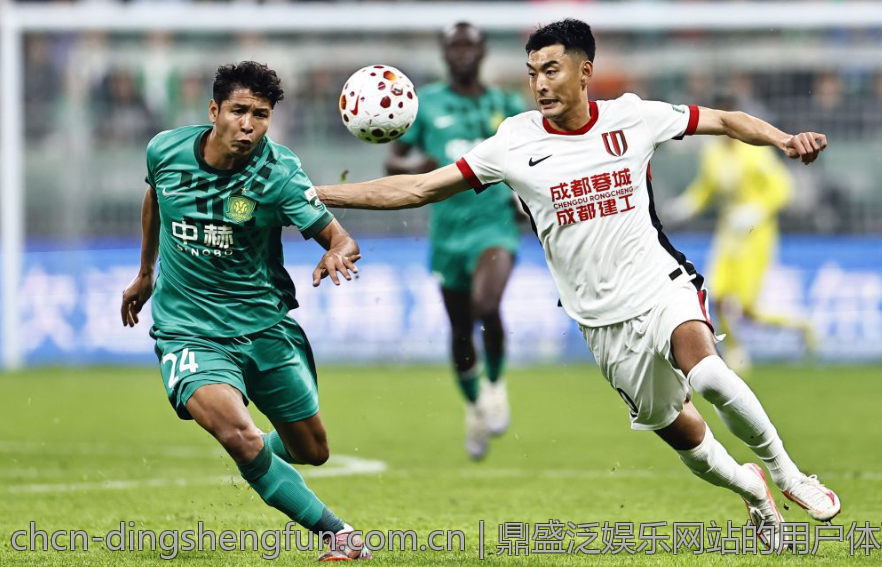 鼎盛国际娱乐平台如何维护玩家权益